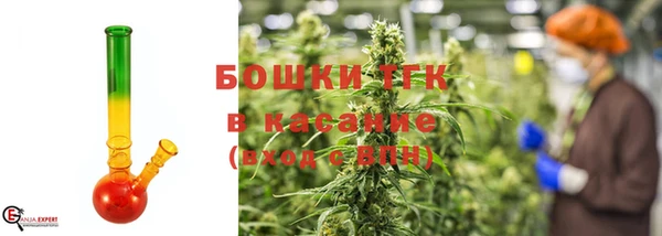 шишки Алексеевка