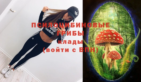 шишки Алексеевка