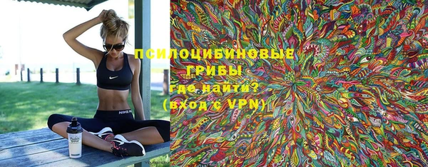шишки Алексеевка