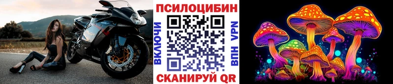Галлюциногенные грибы Cubensis  Геленджик 